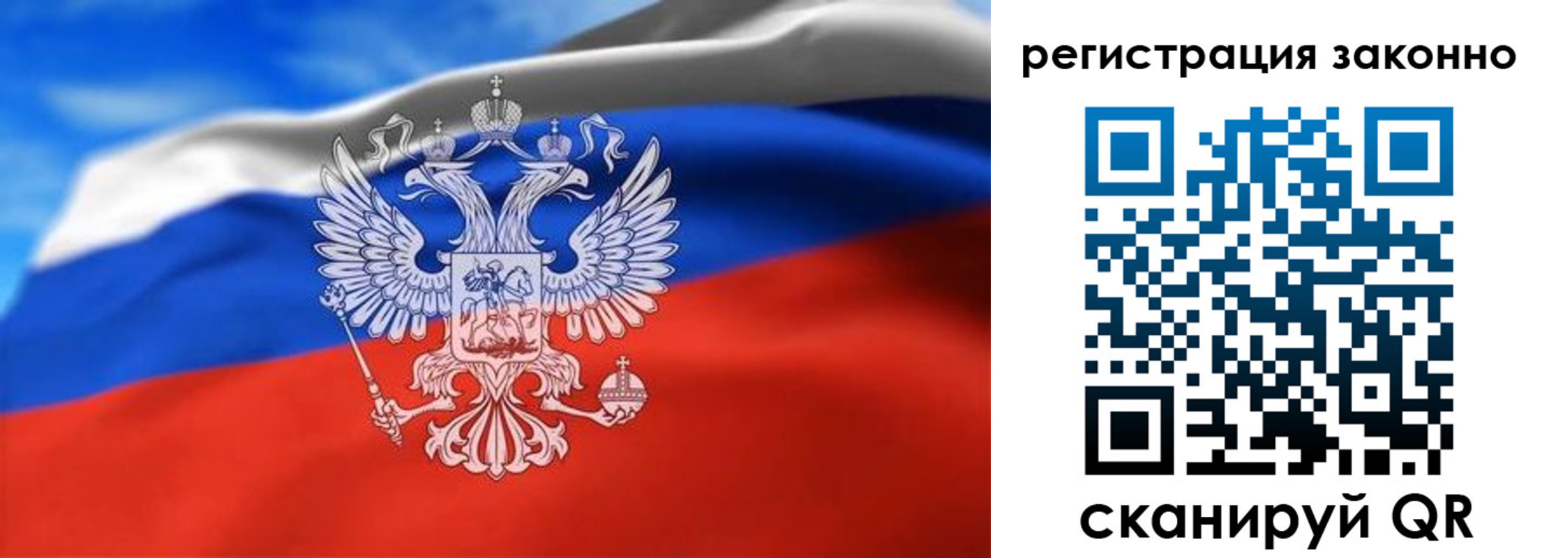 прописка для школы в Нововоронеже